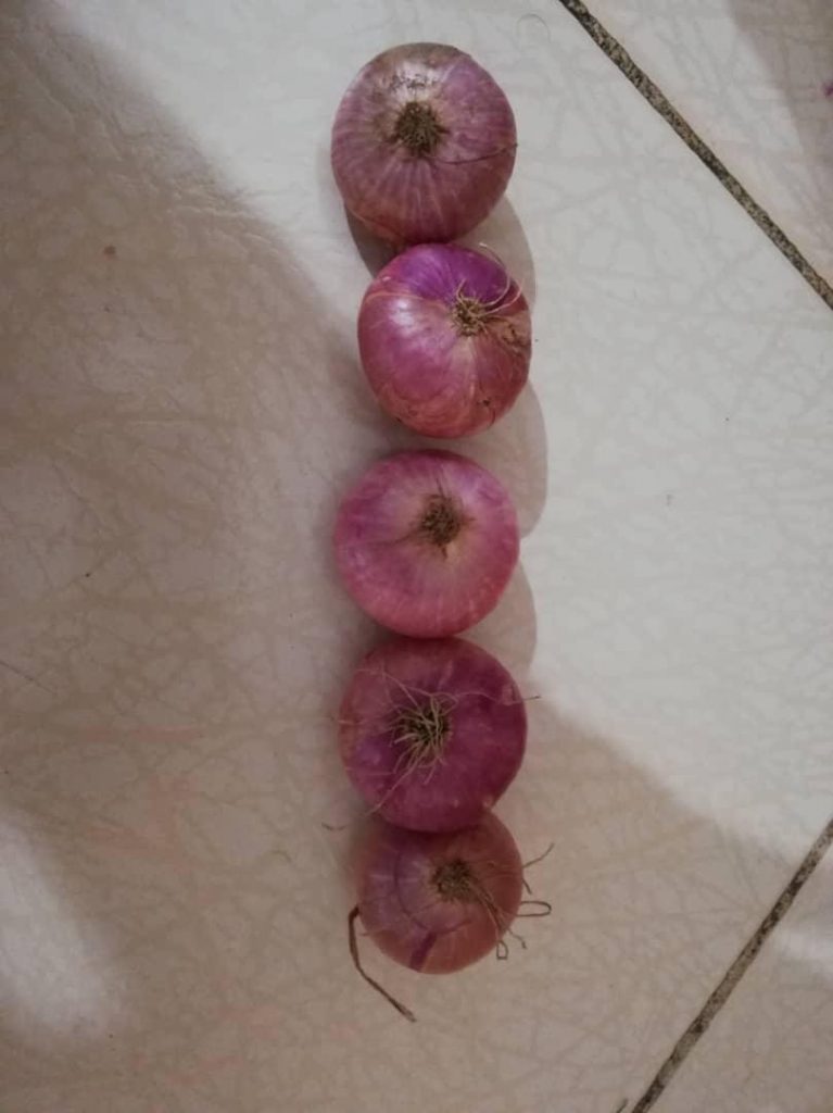 Onion sizes