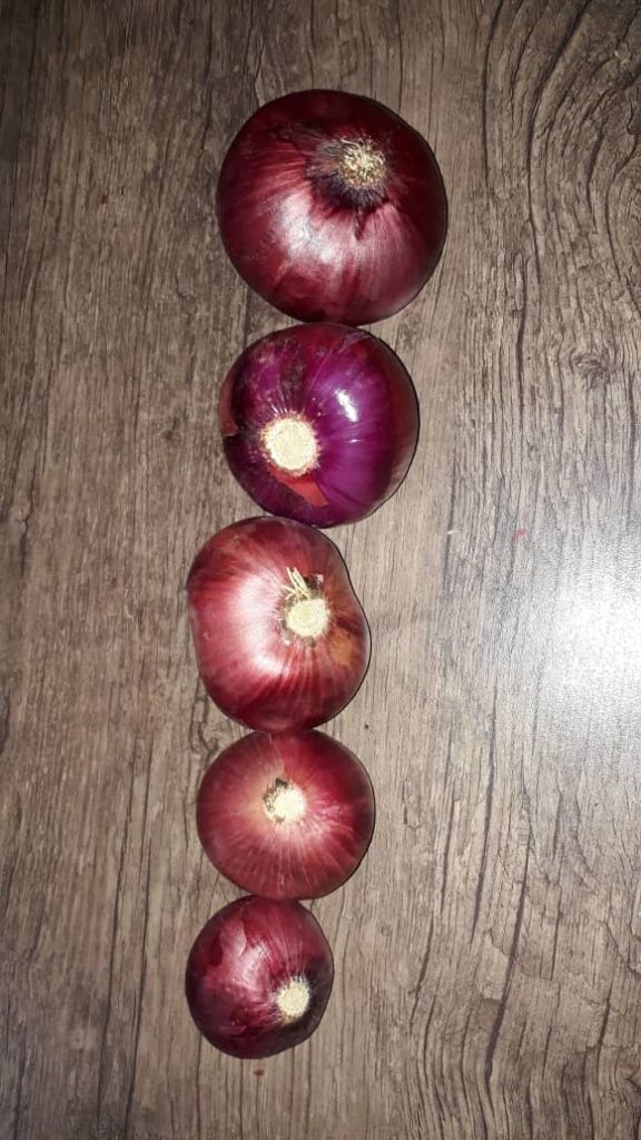 Onion sizes
